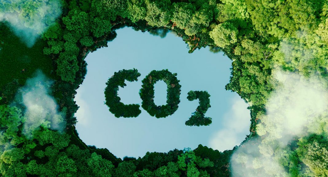 Пользователи Trip.com принимают участие в программе CHOOOSE по сокращению выбросов CO2